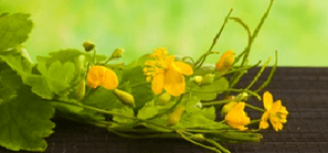 Clean flowers